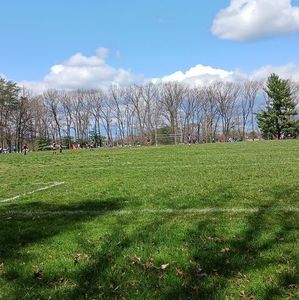 Meet your Posher, Oscar